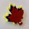 VCSBC Lapel Pins - Image 2